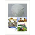 animal additives betaine